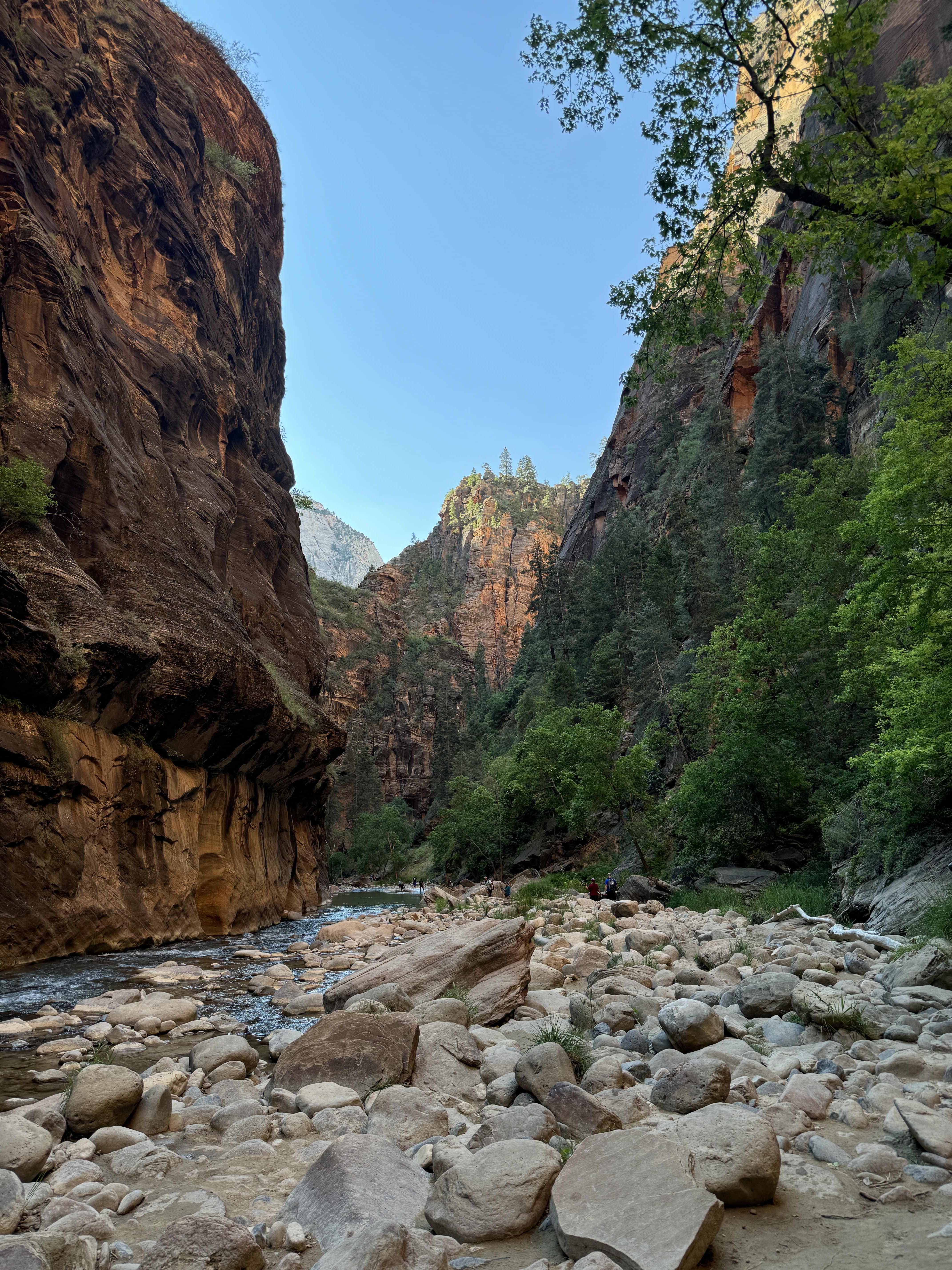 Narrows